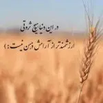 دانلود آهنگ تو قبله گاه دل من “هوش مصنوعی” از حمیرا